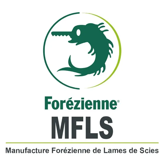 Disque pour scie circulaire — Forézienne MFLS LC2002408M — bois — 200 mm, 24 dents 2